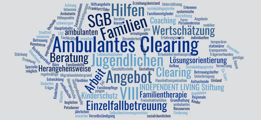 Ambulantes Clearing - INDEPENDENT LIVING Stiftung